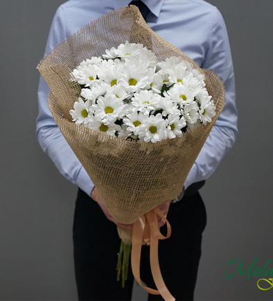 Букет с белой хризантемой в мешковине Фото 394x433